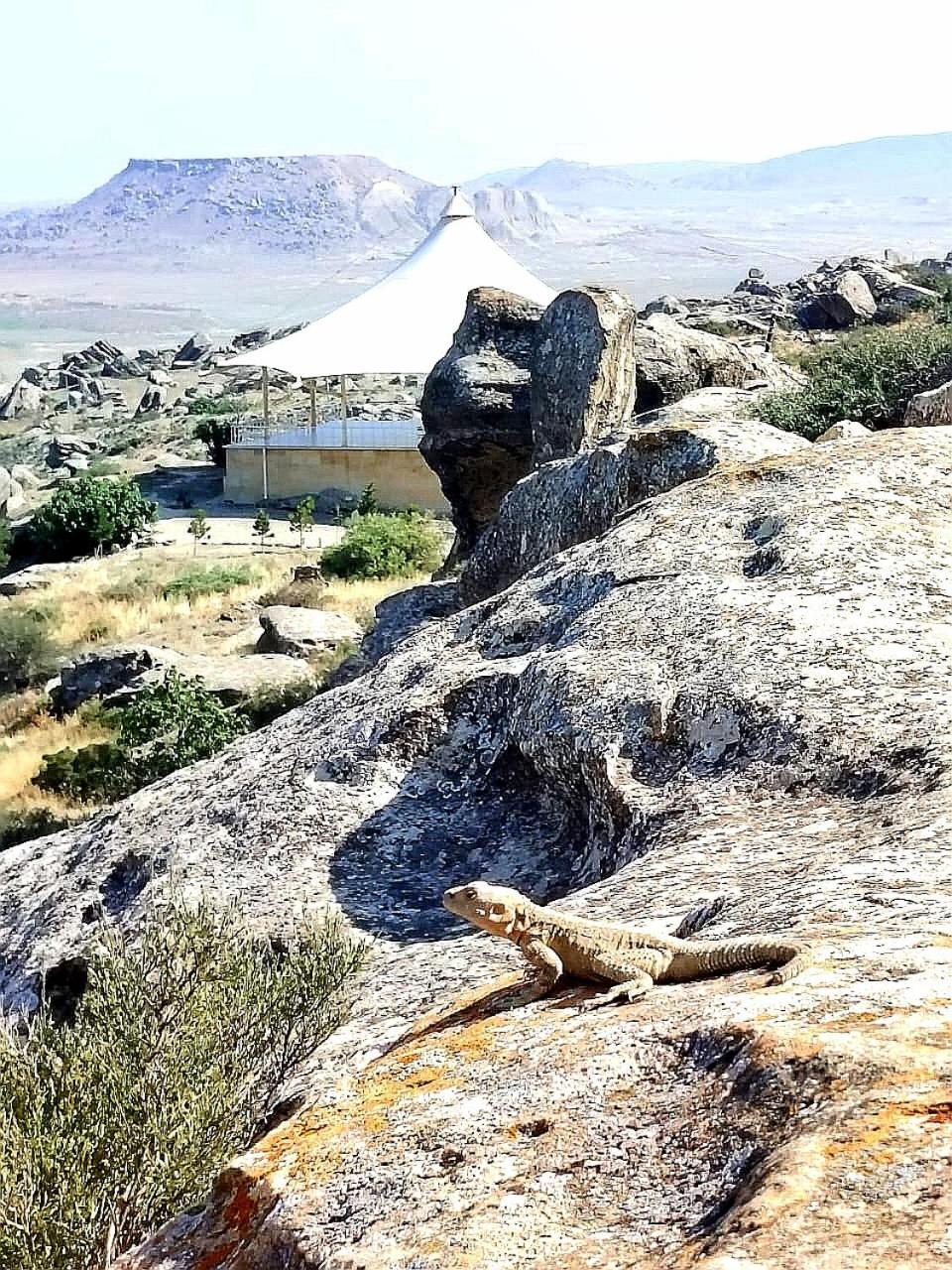 Baku Black MountainGuest House Sangachal Extérieur photo